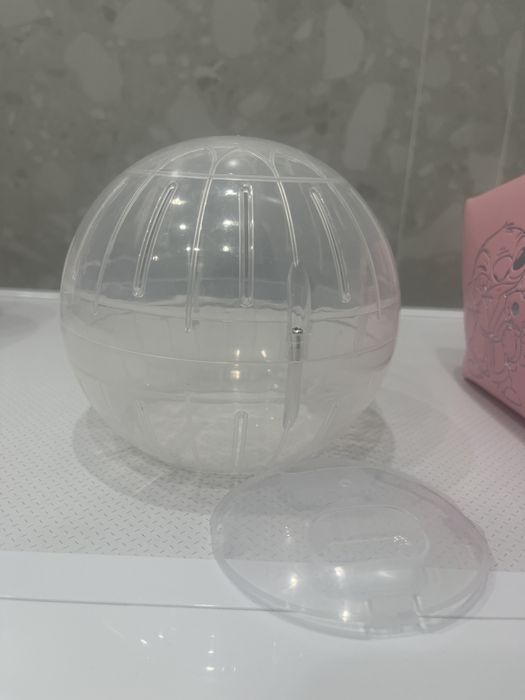 Хомяк джунгарский