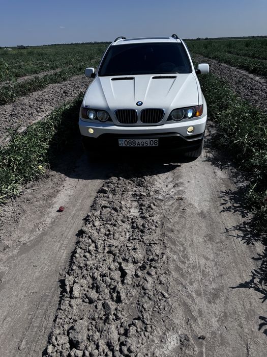 Bmw х5 в идеальном сост.$$$все работает