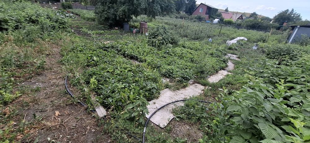 Продам дачный участок
