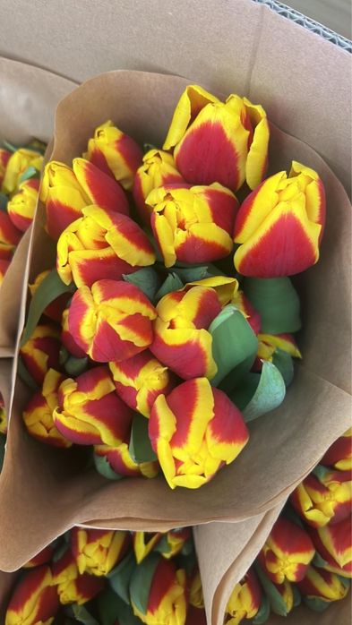 Тюлпаны по выгдной цене