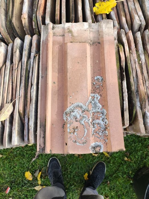 Țiglă veche, tip solzi