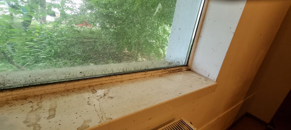 Servicii profesionale de curățenie