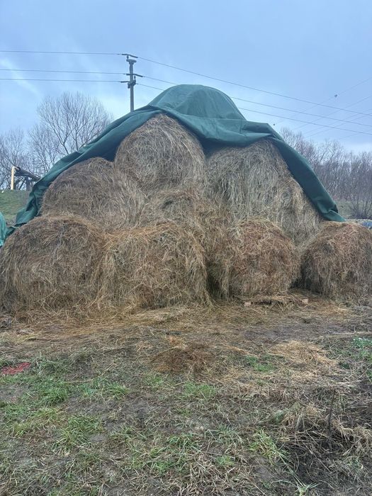 Vând baloți de fân și paie.