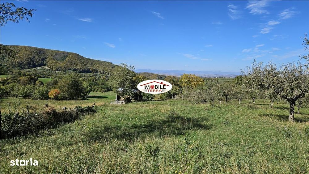 Teren de vanzare langa Saliste zona Bercu sat Gales - Tilisca