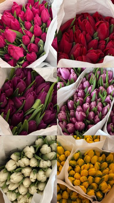 Тюльпаны на 8 марта по 800 тг с оформлением