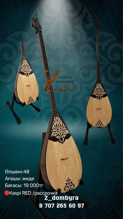 Домбыра кәсіби және әуесқой