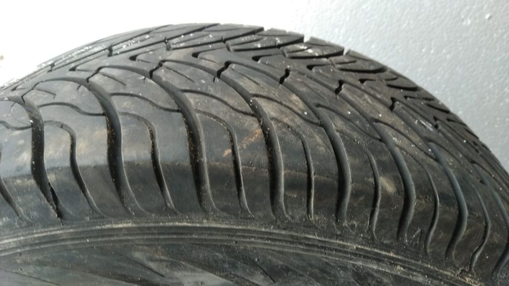 Продам 5 болонов.