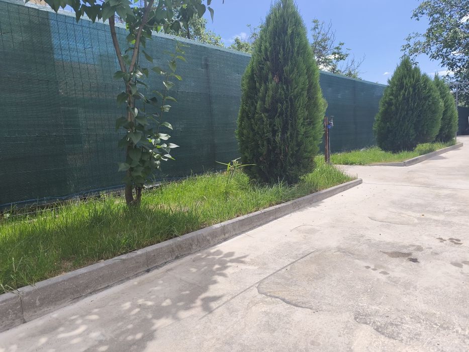 Casă în Balș //teren