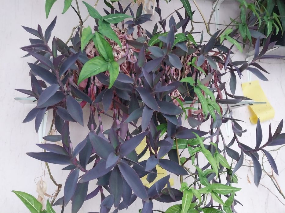 Красивый аксессуар на подоконник,