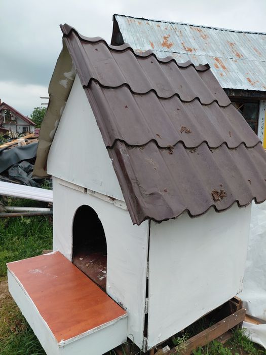 Cușcă căine   lungime față 100cm,laterale 0.80cm,înălțime totală 120cm,
