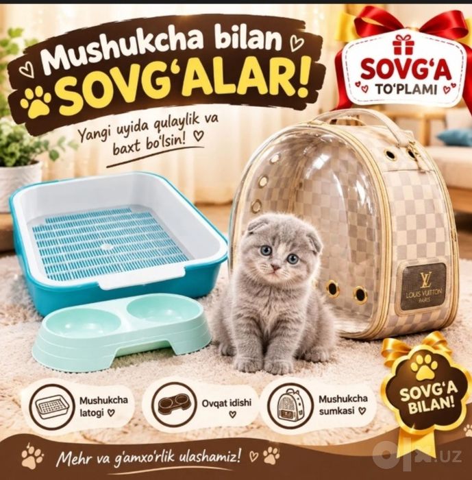 Mushuksotiladizotli