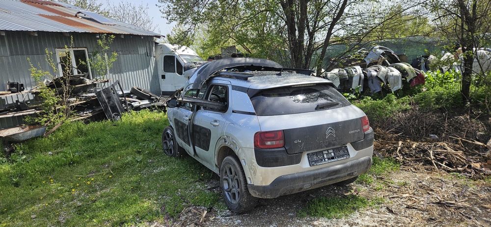 Citroen C4 Cactus