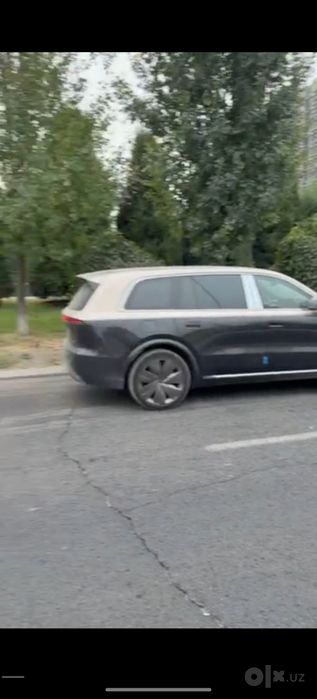 Lixiang Livis l9 hamma rangi bor