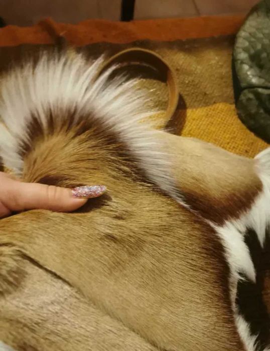 Geanta din piele naturala și blana naturala