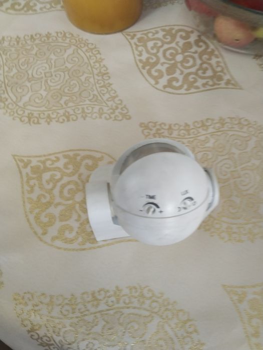 Директор движения е 009