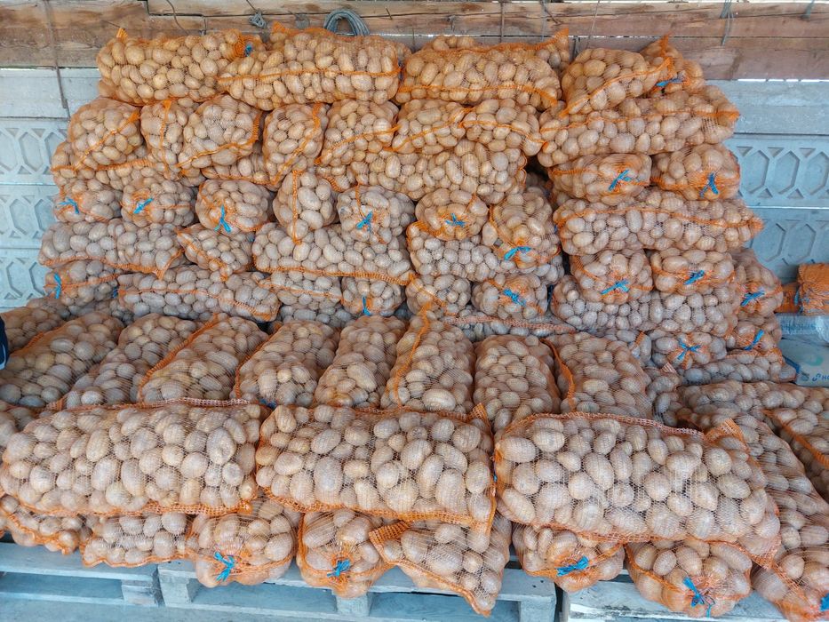 Cartofi albi de consum