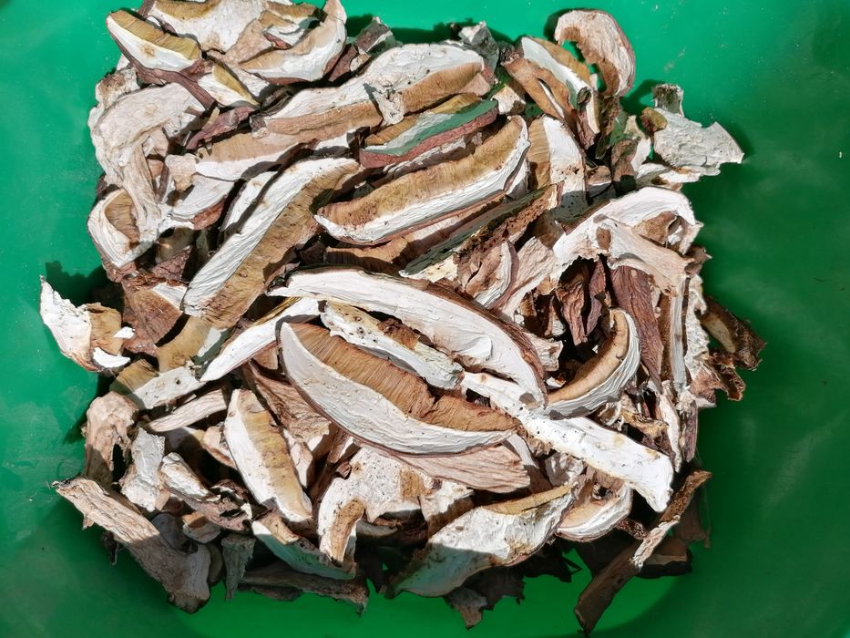 Hribi uscați (pitoance, mânătărci, bureți, ciuperci) - naturali, aromă