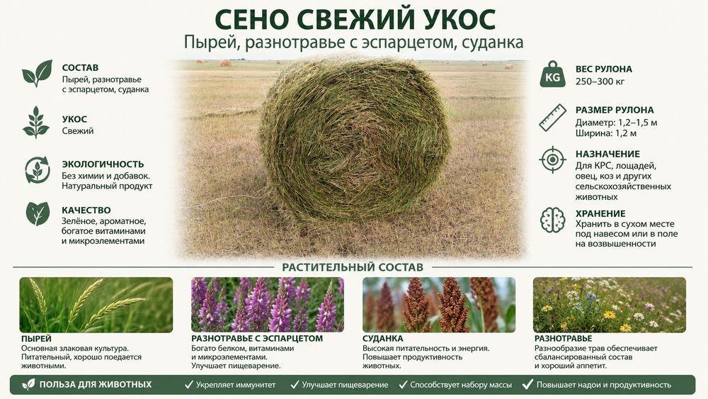 Продам сено свежее