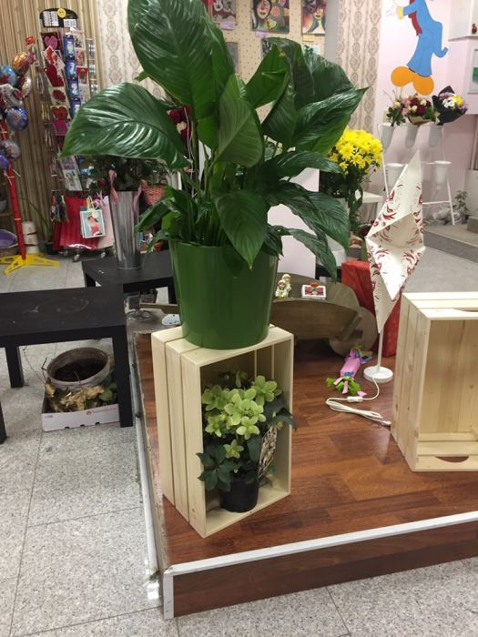 Декоративни щайги различни размери