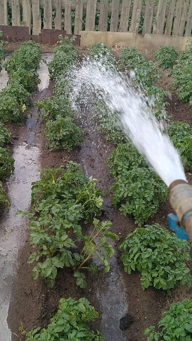 Продам дачу Тимирязево