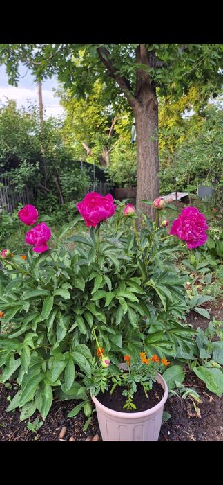 Продаю дачу Федоровское водохранилище