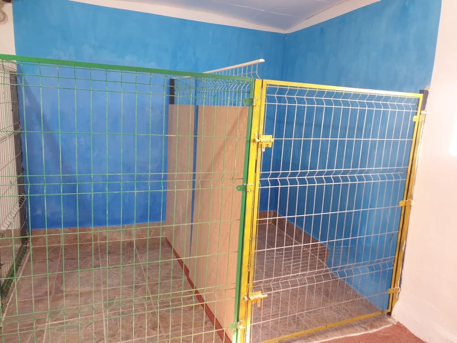 Cazare câini , pensiune canină