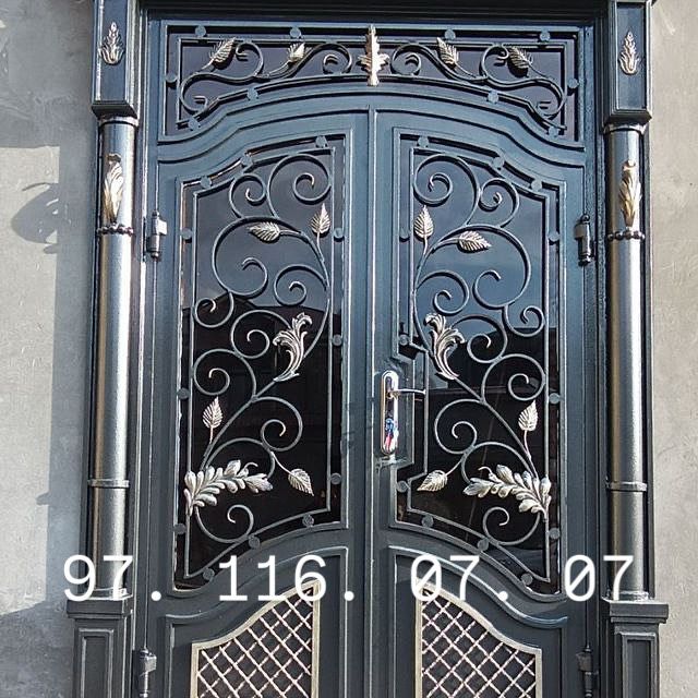 Barcha turdagi temir darvozalar