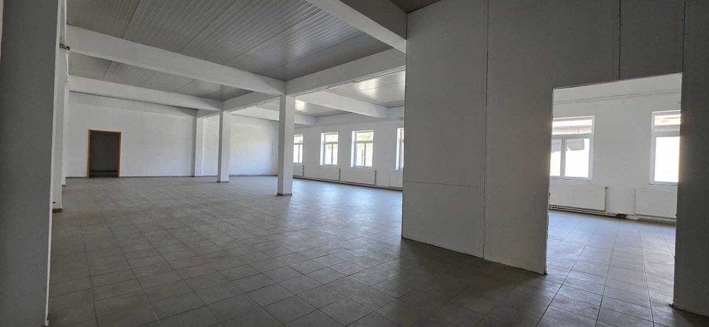 Clădire S.A.D. de vânzare – Moise Dobosan | 663 mp utili | 40% închiriată | Investiție cu randament