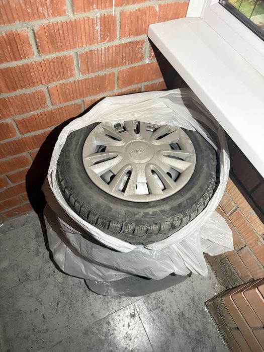 Продам зимние шины на 14