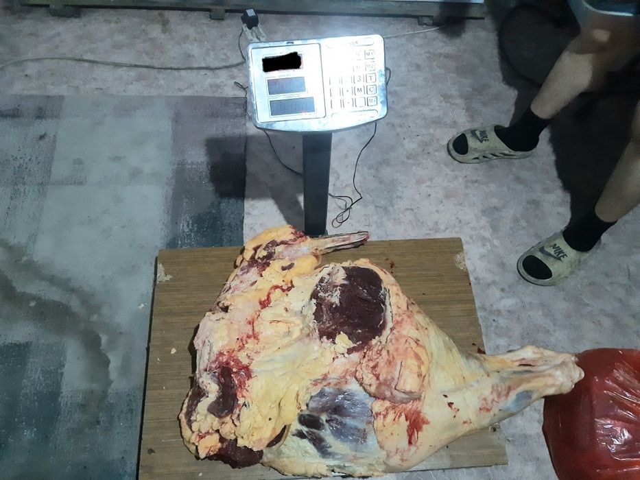 Сиыр еті сатылады