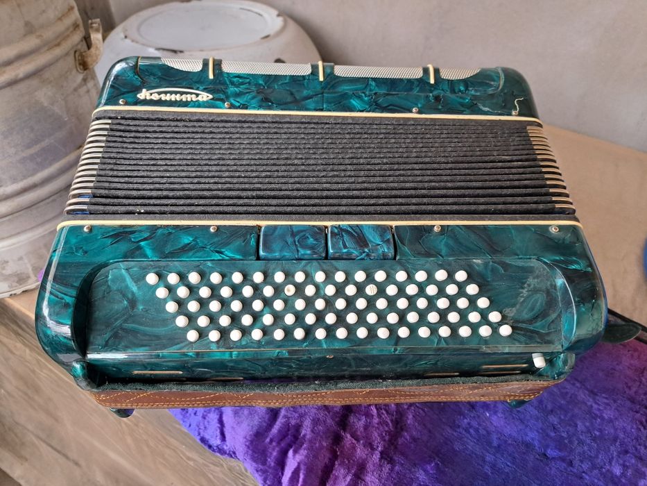 Аккордеон musical instrument