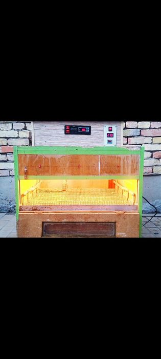 Inkubator  barcha turdagi parranda tuxumi uchun