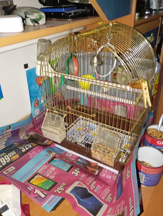 Попугаи с клеткой