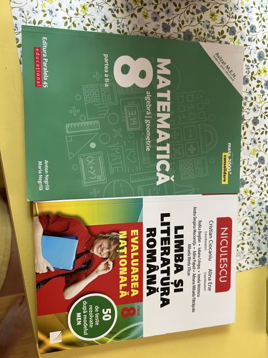 Carti pregatire evaluare nationala clasa 8