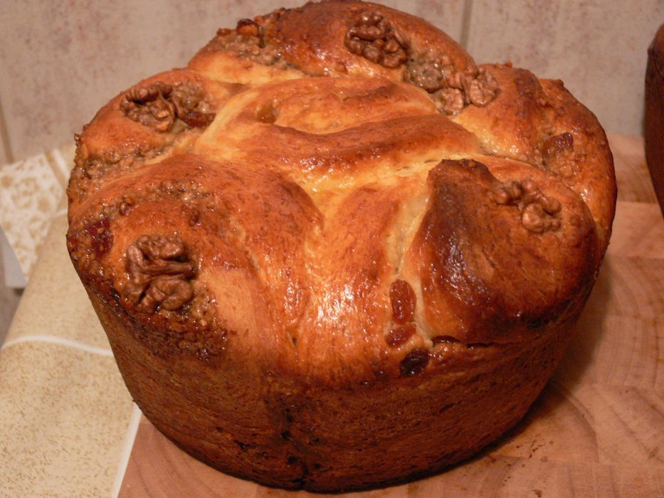 Maia naturala salbatica Lievito Madre ecologica bonus 2 rețete cozonac