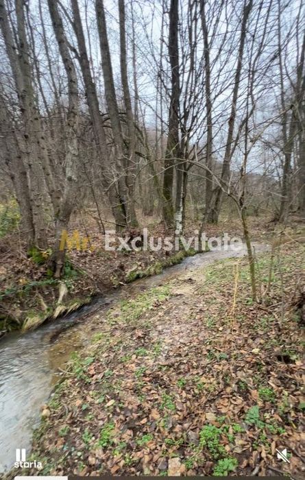 Teren intravilan 6.500 m²–Deschidere 144 ml drum european E81, km 35,
