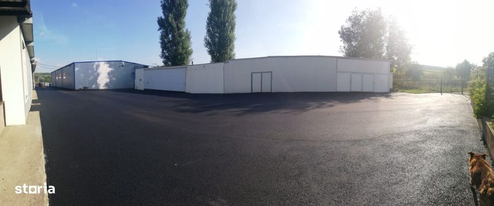 Hale de producție,parcare,casa ,lac, teren 10.000 mp ,Târgu Mureș