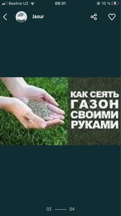 Газон ландшав дизайн полив гатовий газон