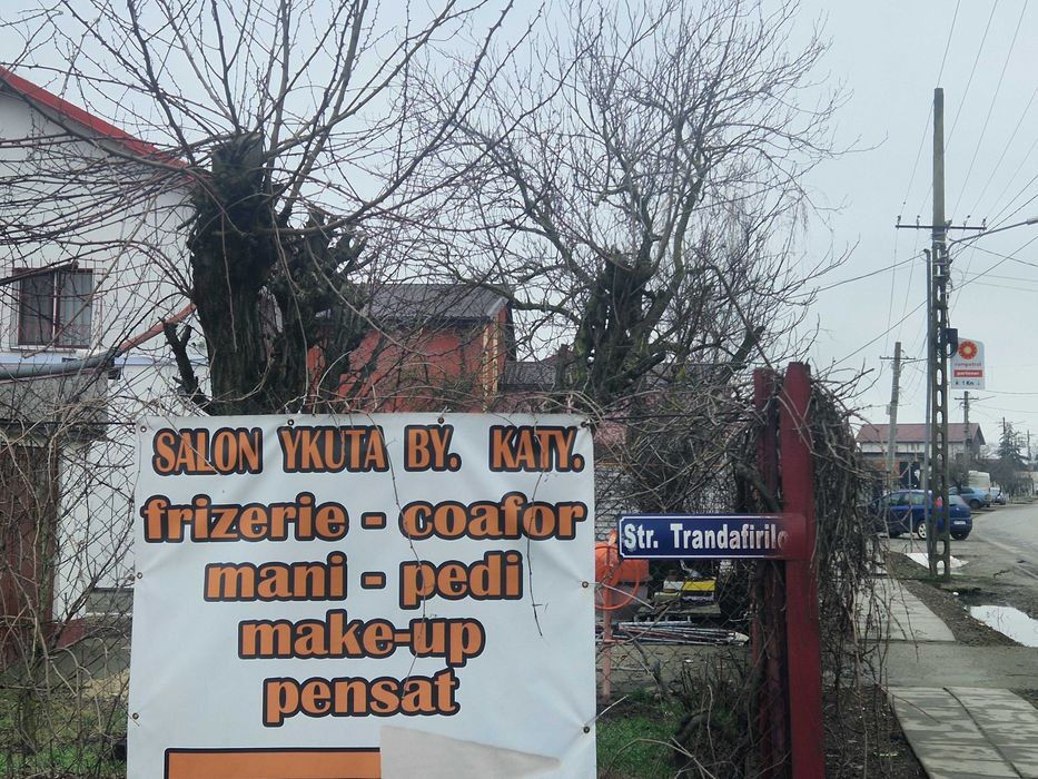 Vand lot teren Sabareni langa București