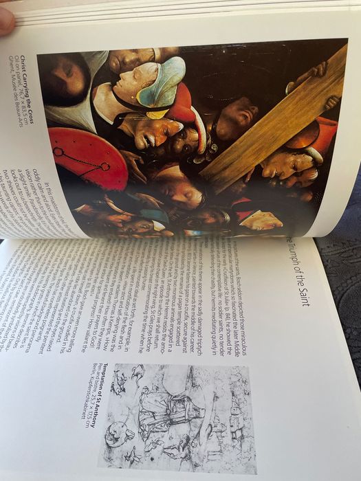 Бош албум картини голям