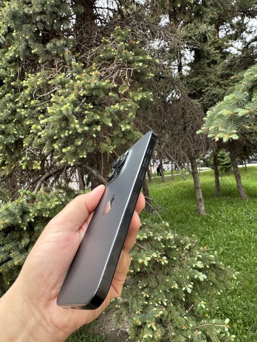 Iphone 16 pro max 256 GB