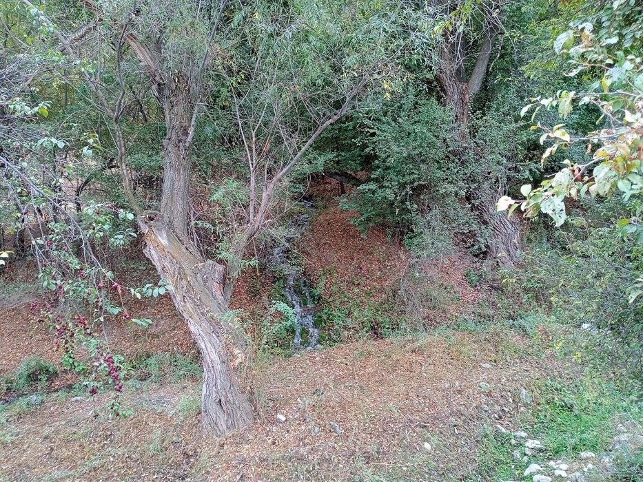 Дача зоминда сотилади