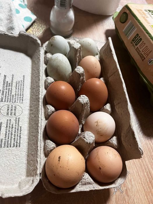 Oua proaspete de găini