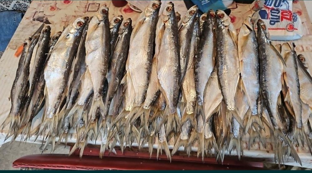 Вяленая рыба соленная