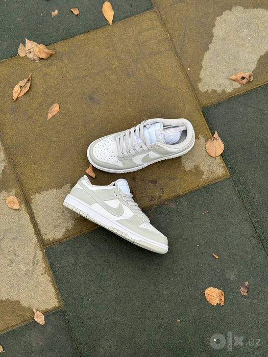 Nike Sb Dunk x low