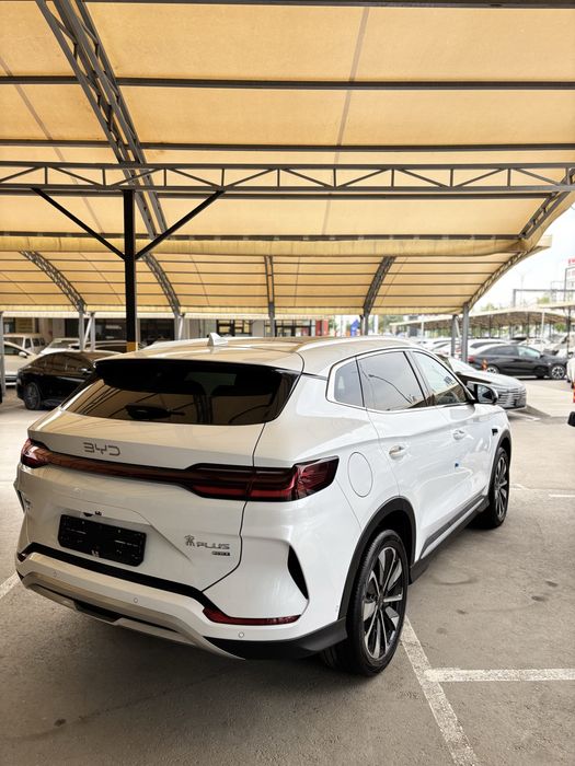 Byd Champion Ev 2025