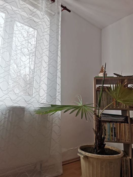 Casa de vanzare în Caracal