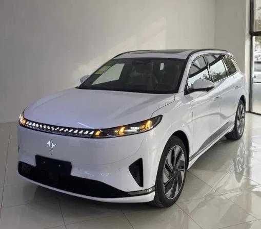 Dongfeng 008 Max pod zakaz