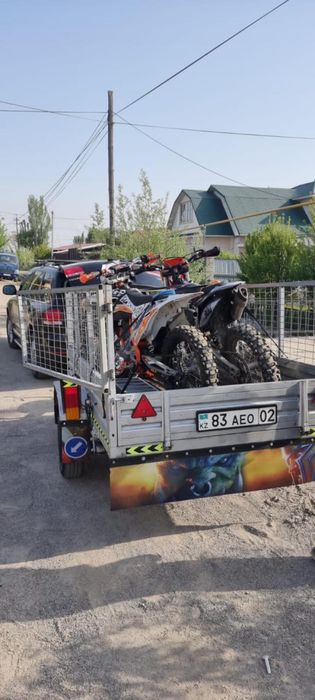 Коневозка перевозка лошадей