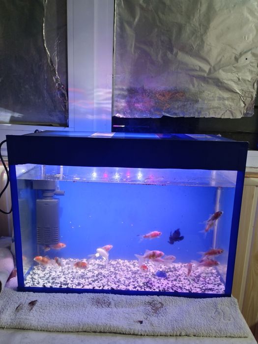 Akvarium komplekt 40Litr